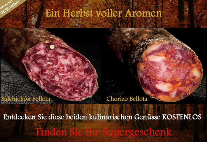 Jamon Iberico Pata Negra Schinken ban2